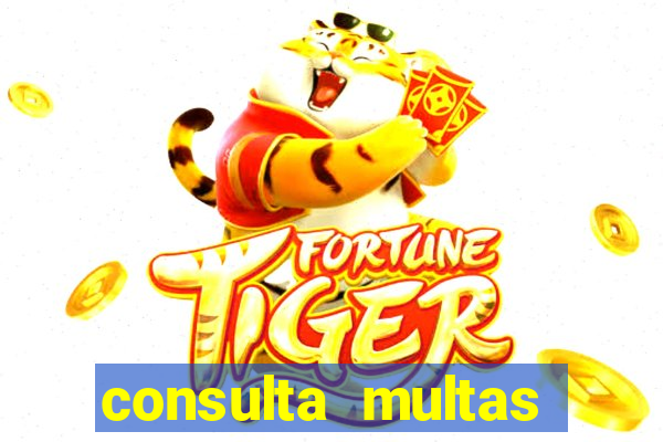 consulta multas detran mg